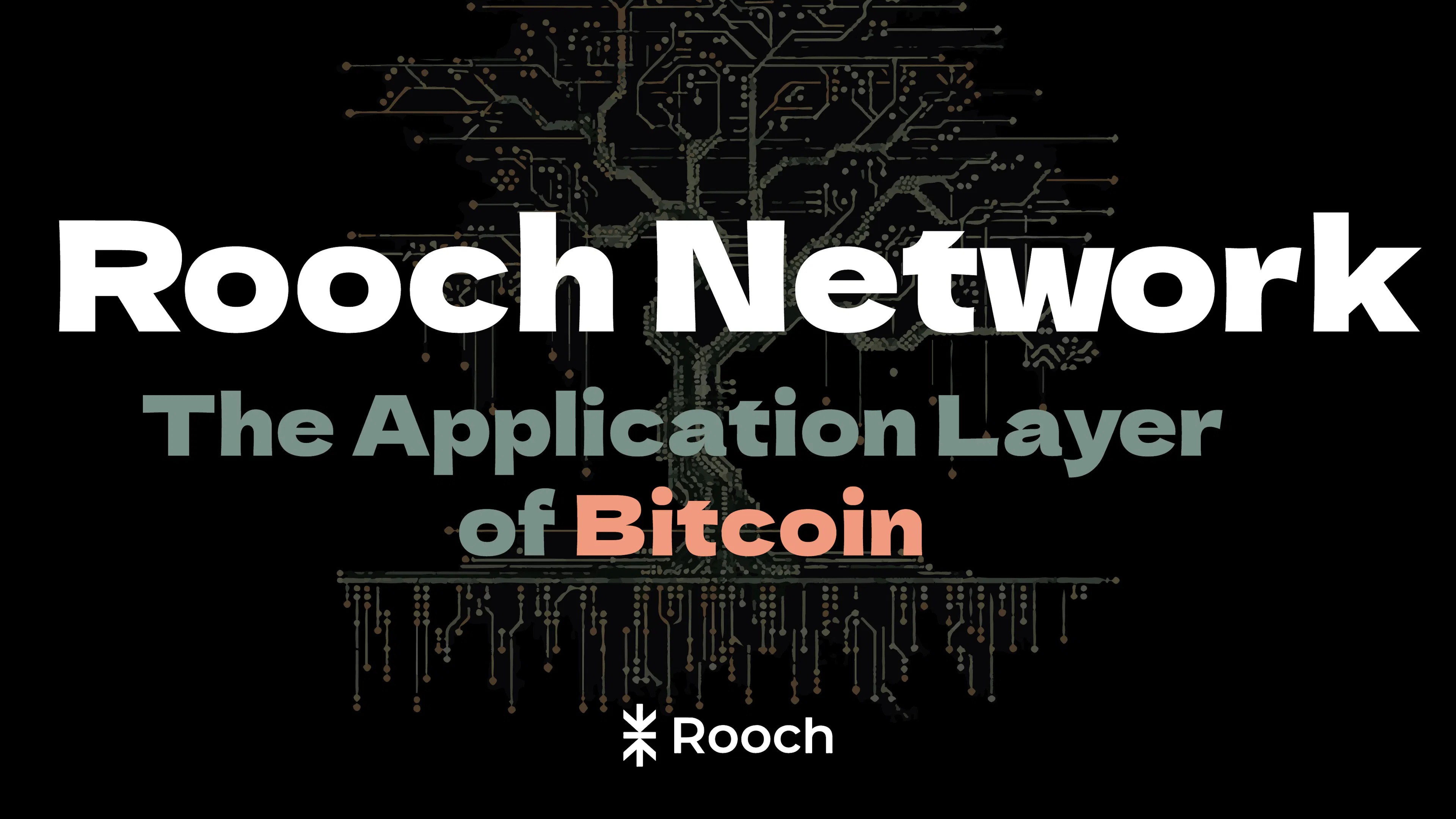 Rooch Network - The Application Layer of Bitcoin